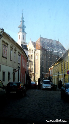 44 ����: �����: � � ������ ���