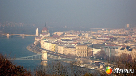 45 ����: �����: � � ������ ���