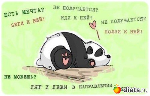 ��� �����