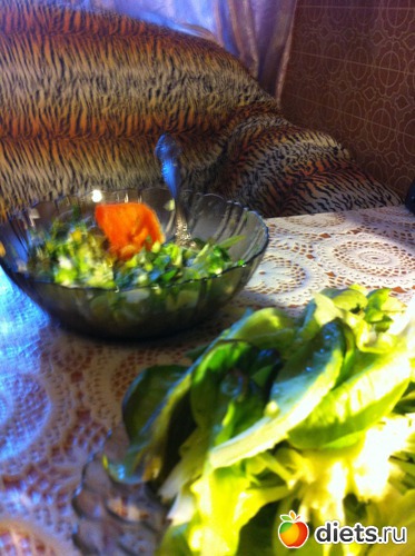  ,,&quot;.     !  !, :   