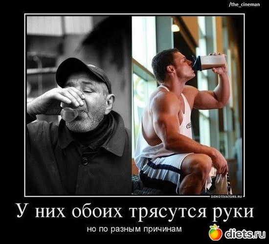 16 ����: ��������