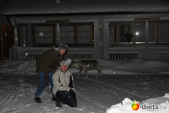 16 фото: Новый год 2013