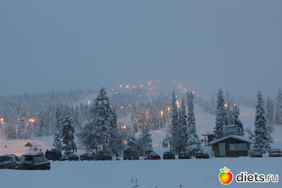 24 фото: Новый год 2013