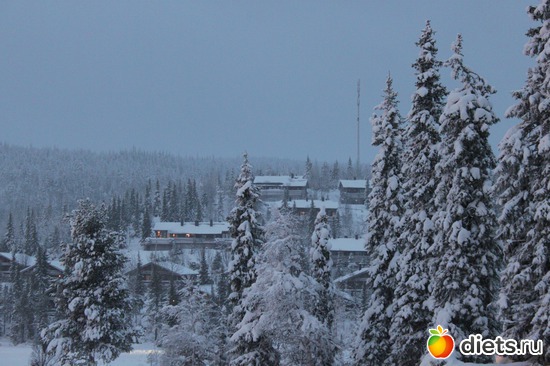 25 фото: Новый год 2013