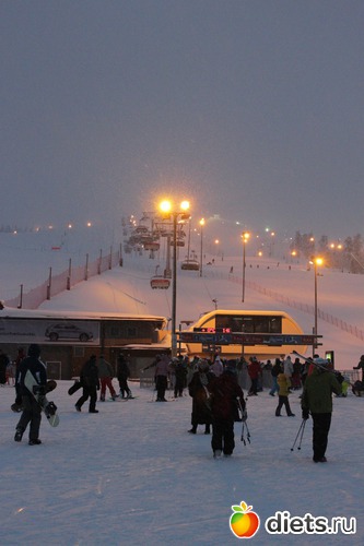 26 фото: Новый год 2013