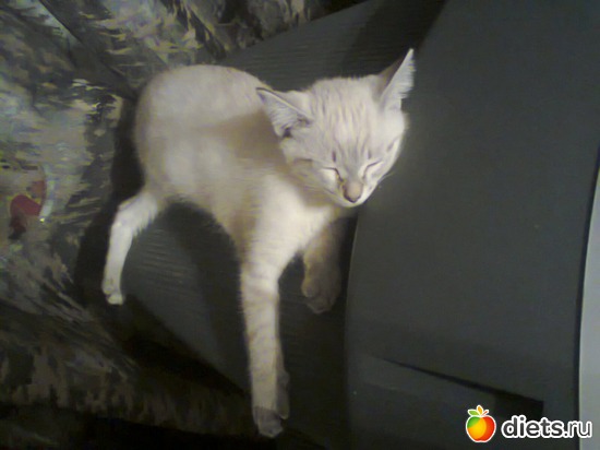 1 ����: ����� �����