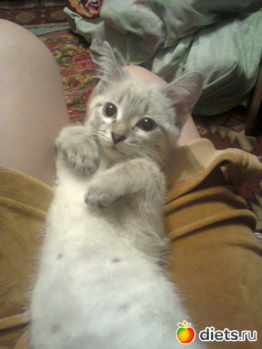 2 ����: ����� �����