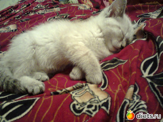 7 ����: ����� �����