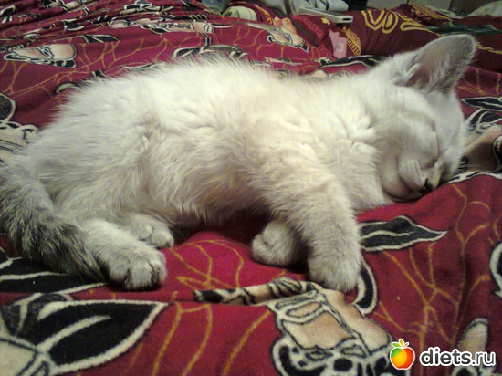 8 ����: ����� �����