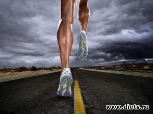 ��� ��������