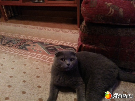 7 ����: ��� ����