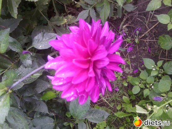 14 ����: � ������ � �������