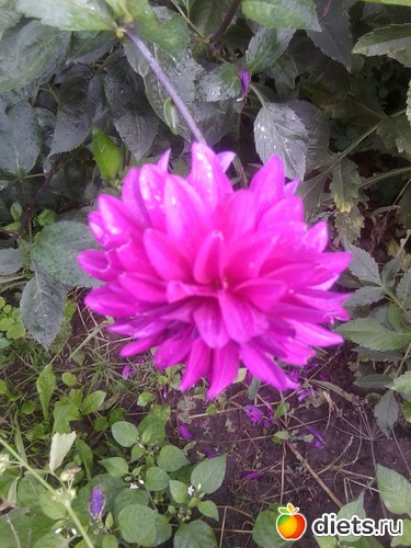 13 ����: � ������ � �������