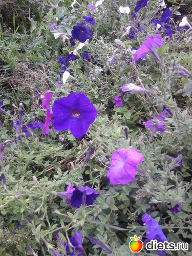 15 ����: � ������ � �������