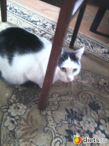 6 ����: � ������ � �������