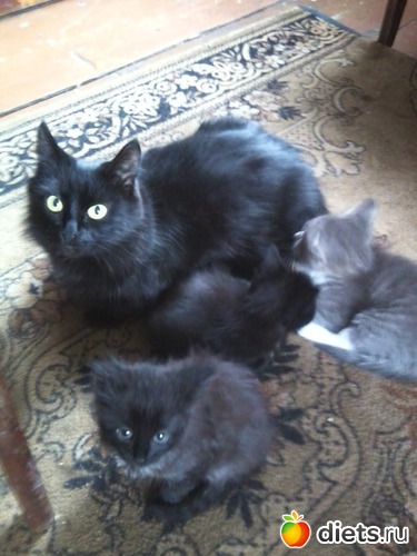 7 ����: � ������ � �������