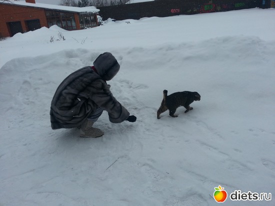 1 ����: ��� ����