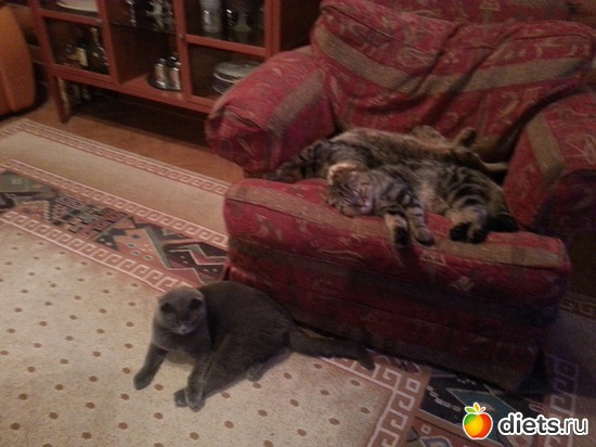 2 ����: ��� ����