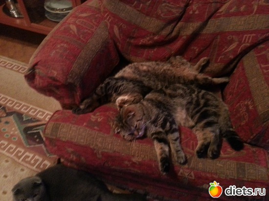 3 ����: ��� ����