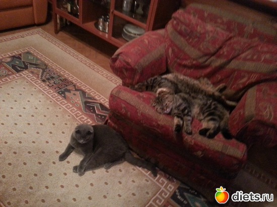 4 ����: ��� ����