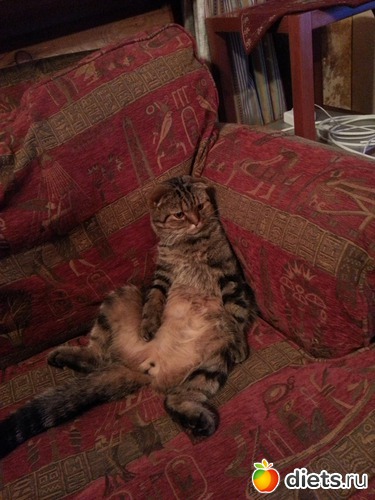 5 ����: ��� ����