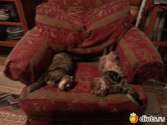 6 ����: ��� ����