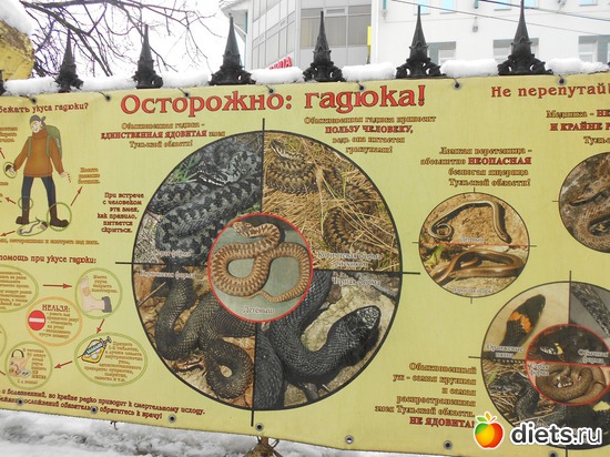 Осторожно, гадюка!, альбом: Тульский экзотариум