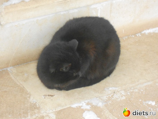 Цезарь. Без Клеопатры))), альбом: Свято-Никольский Венев монастырь