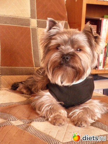 6 ����: ��� �������