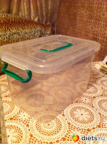 Контейнер большой, альбом: Флай-леди