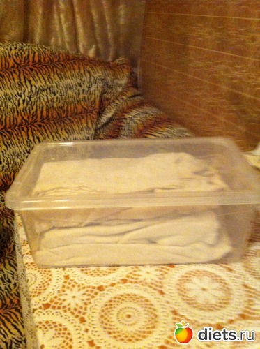 Контейнер, альбом: Флай-леди