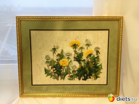 28 ����: ��� �������