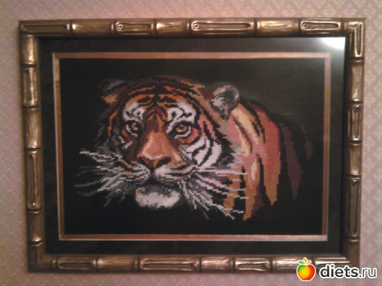 24 ����: ��� �������