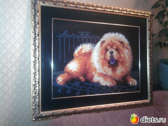 26 ����: ��� �������