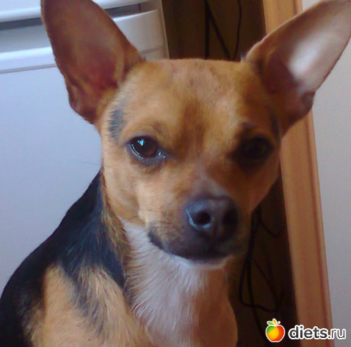 ������, ������: ��� �����