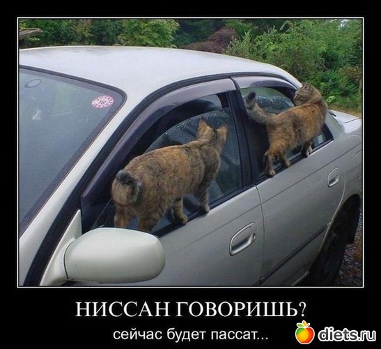 260 фото: Для постов