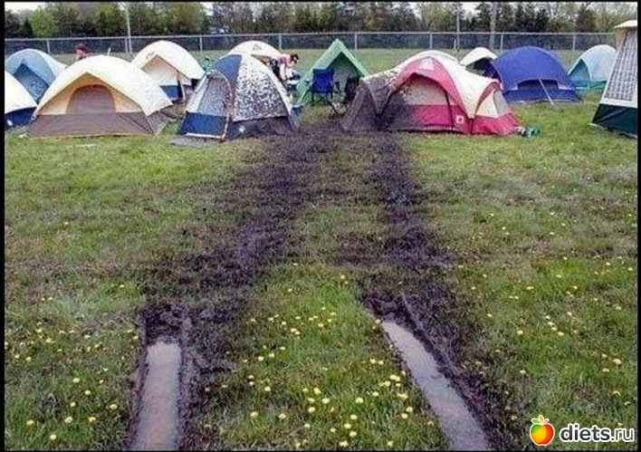 263 ����: ��� ������