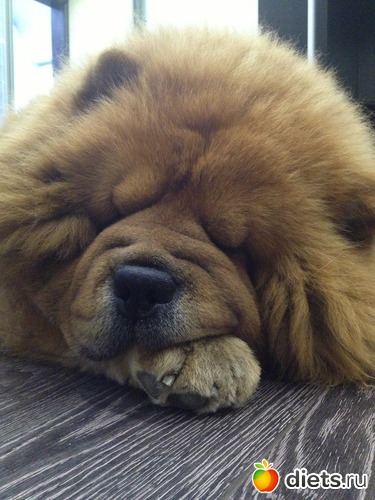 1 ����: ��� �������