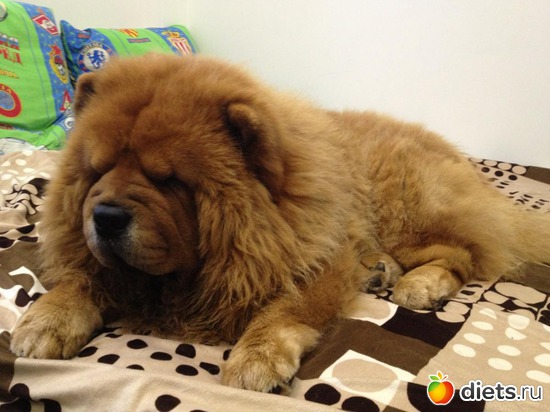 2 ����: ��� �������