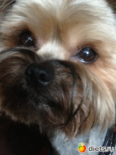 3 ����: ��� �������