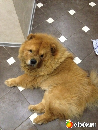 4 ����: ��� �������