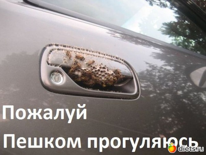 275 ����: ��� ������