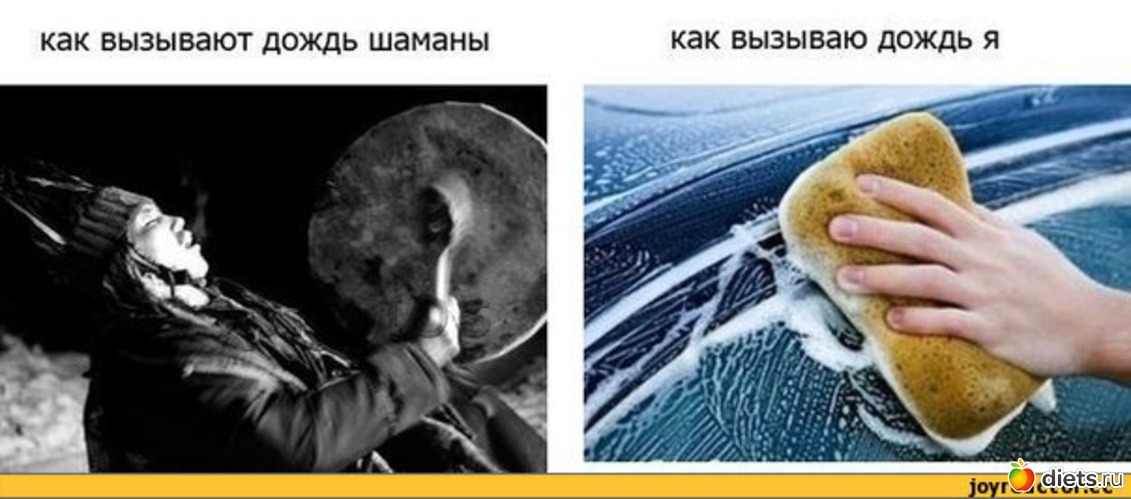 281 ����: ��� ������