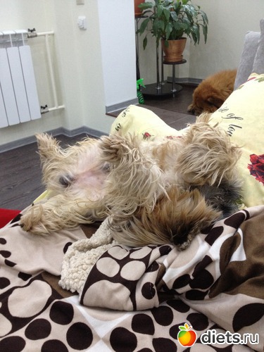 5 ����: ��� �������