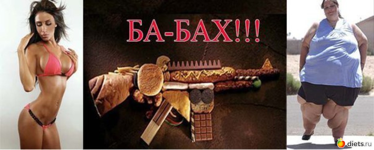 290 ����: ��� ������