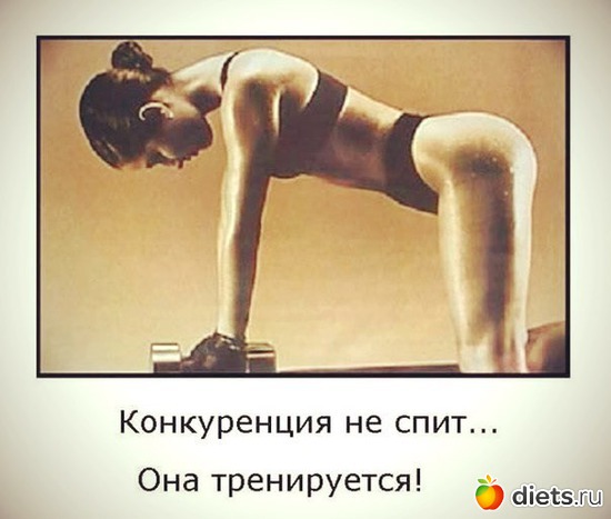 293 ����: ��� ������