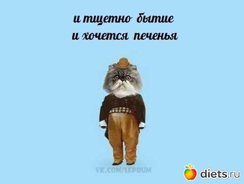 ������ �������