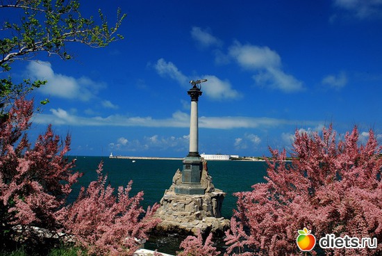 ������� ����������� - �������� ����������� ��������, ������� � 1905 ����., ������: �����������