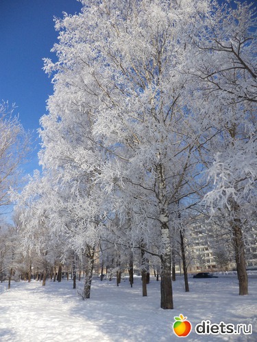 3 ����: ������ ���������!!!