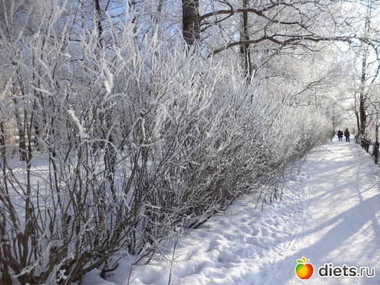 5 ����: ������ ���������!!!